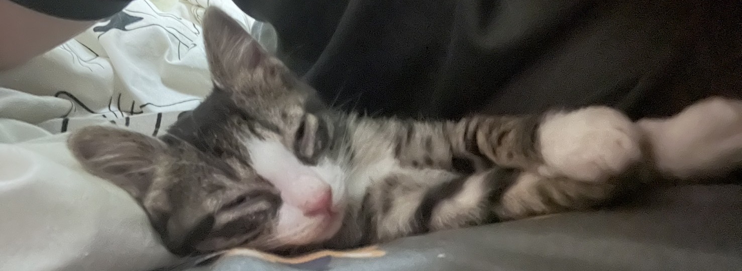 https://widgets.nekolive.net/UserAssets/0777d08f-bf7d-4ac0-9048-7b4bd330bd52/S__2179793.jpg