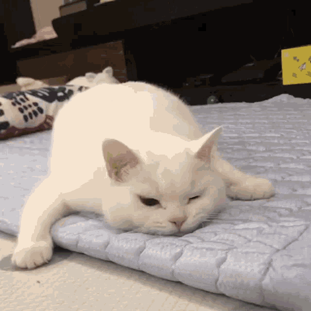 https://widgets.nekolive.net/UserAssets/22e428d5-a5e5-4e8c-d8fa-5e9ae68b6a0b/cat-sad.gif
